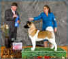 Steady_ACA1stplace(web).jpg (285569 bytes)