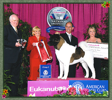 2008 Eukanuba Classic - Working Group Second