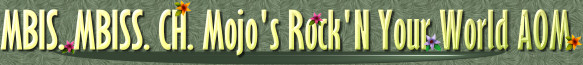 MBIS. MBISS. CH. Mojo's Rock'N Your World AOM